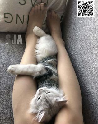 柯南在线_1080免费观看韩国