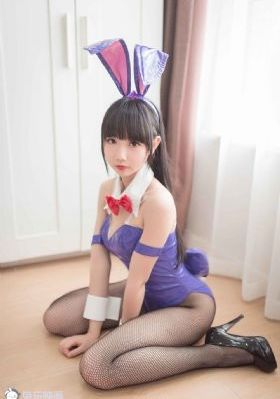 女士的法则电视剧在线观看_DVD免费在线观看