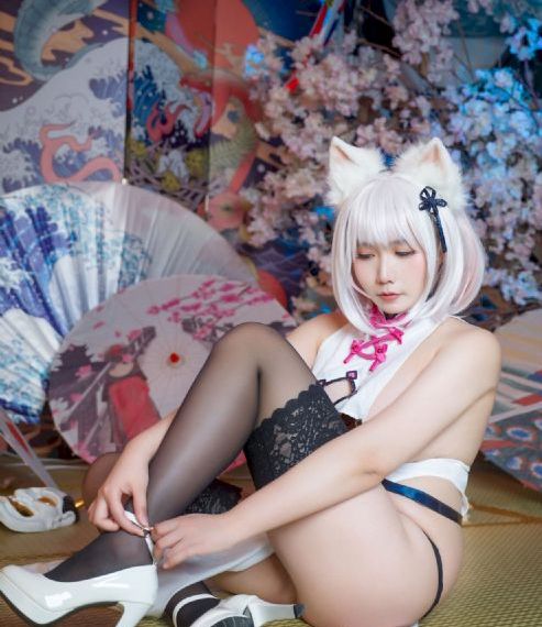人狗情未了_免费追剧在线观看