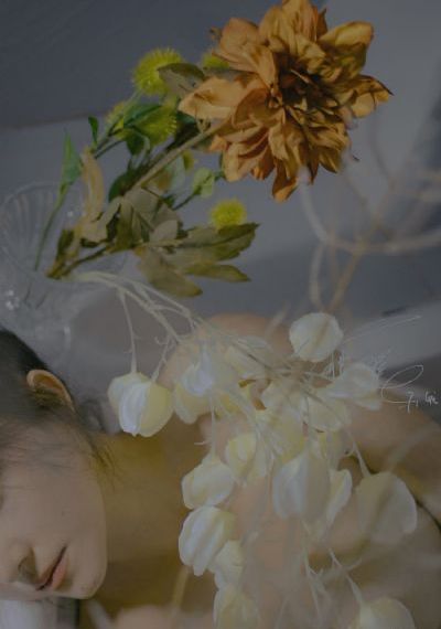 甜蜜看守专用宠物全1集_720在线观看完整版