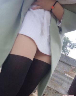 免费观看完美世界全集完整版高清_4K全集免费播放